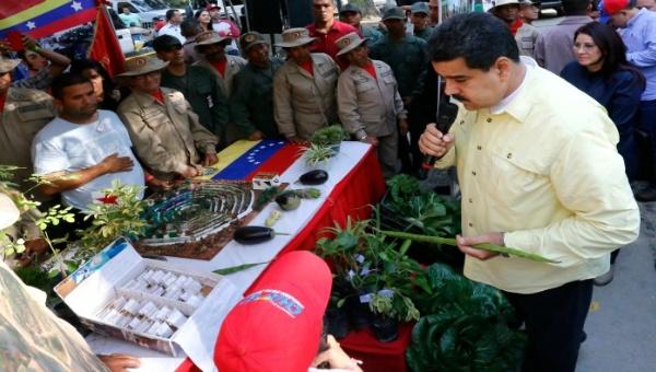 Venezuela incentiva a agricultura urbana