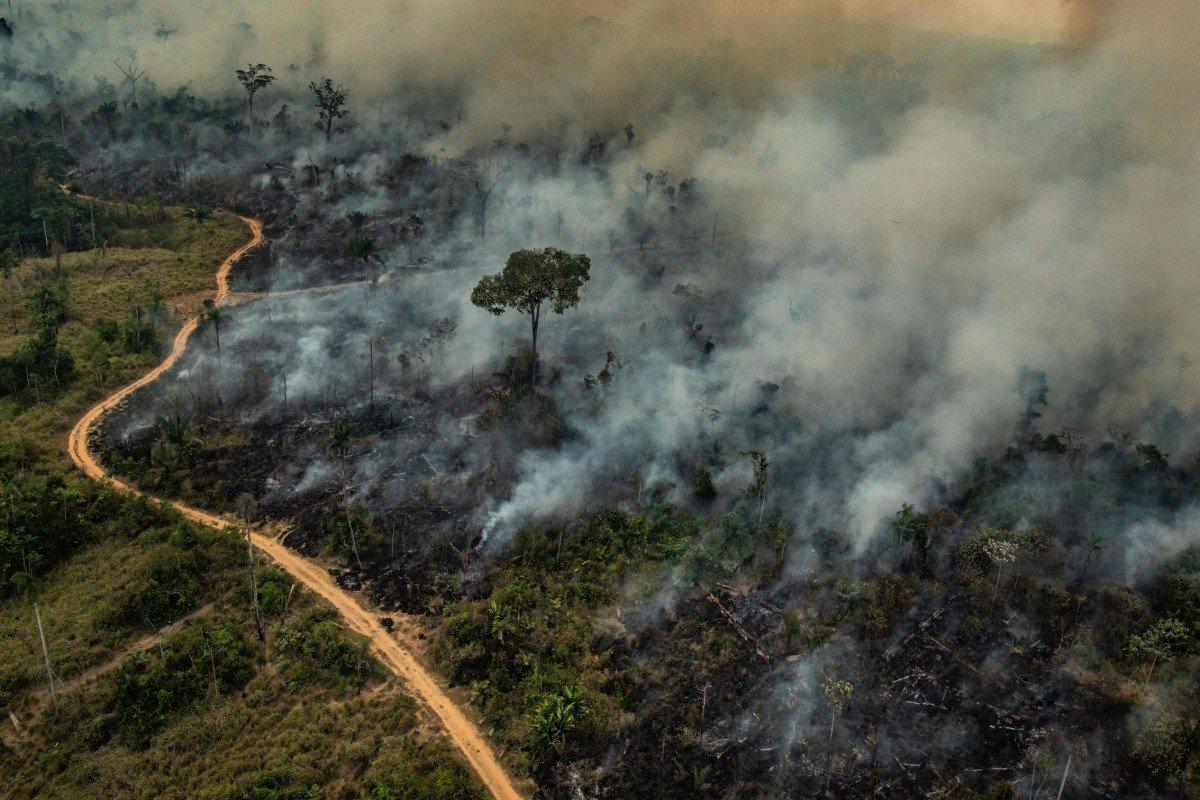 A Amazônia entre a cruz, a espada e o dinheiro