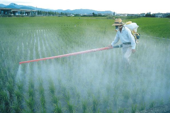 Zika: el nuevo fraude