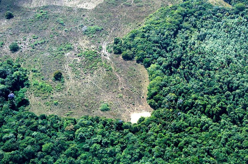 Agronegócio avança sobre a Amazônia