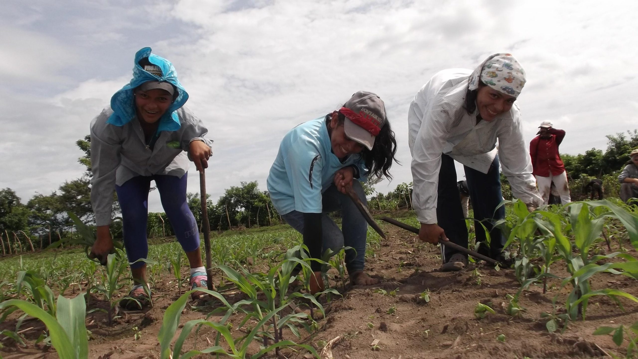 América Latina: reduz a pobreza no campo