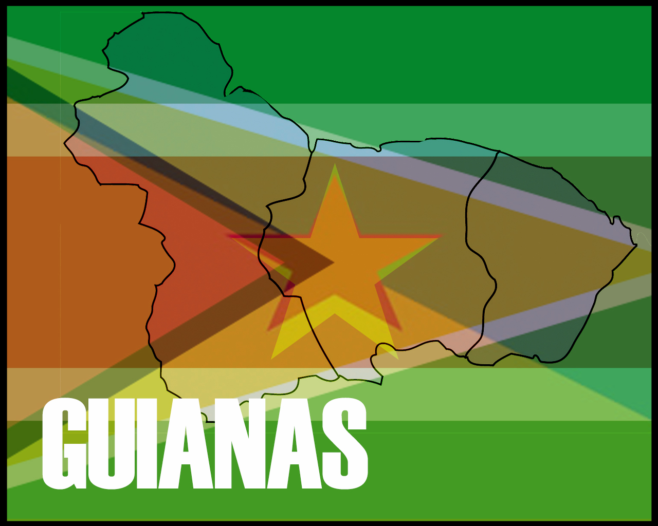 Estante | Guianas