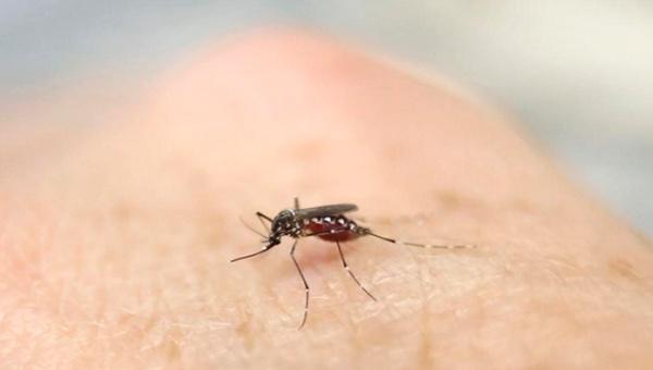 Cuba acusa Estados Unidos de provocarem surto de dengue hemorrágico em 1981