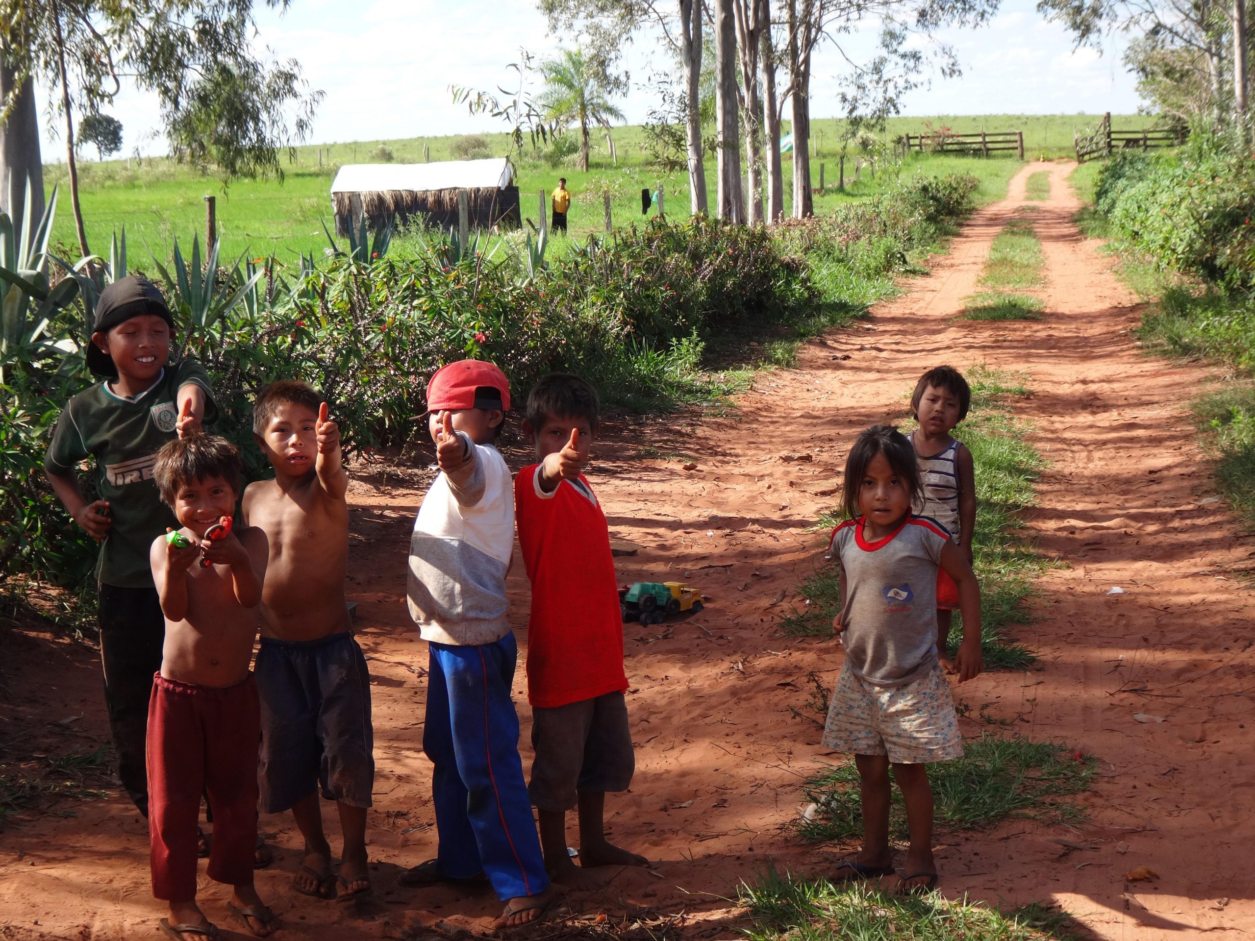 A dolorosa resistência dos Guarani Kaiowá