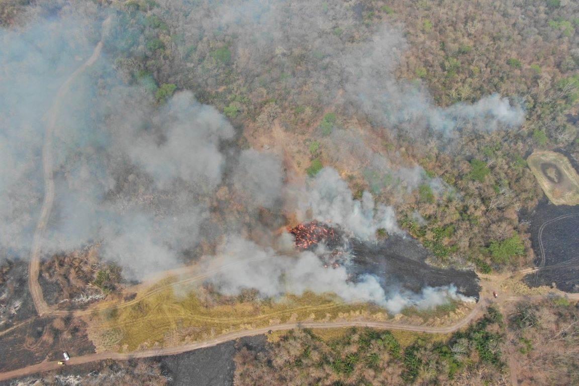 Brasil encerra 2020 com maior número de focos de queimadas em uma década