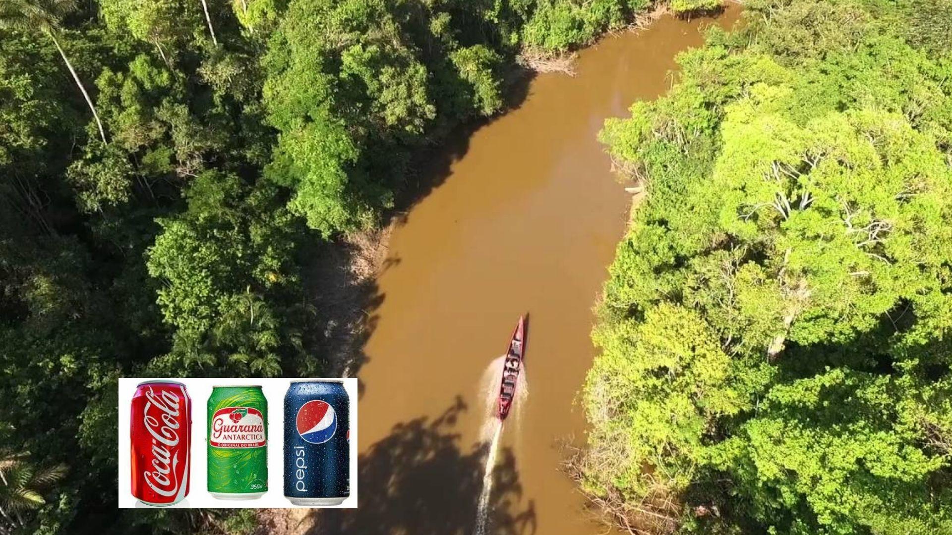 A destruição da Amazônia e o subsídio aos refrigerantes