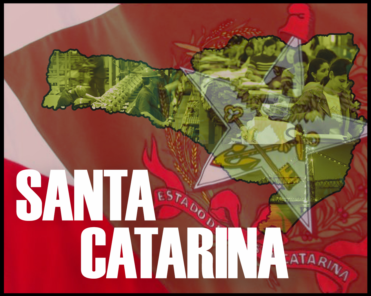 Estante | Santa Catarina