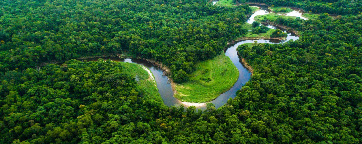 Amazônia Profunda: para evitar mais do mesmo
